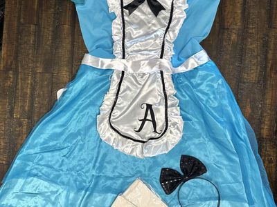 alice in wonderland costume