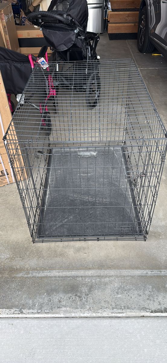 Dog Kennel