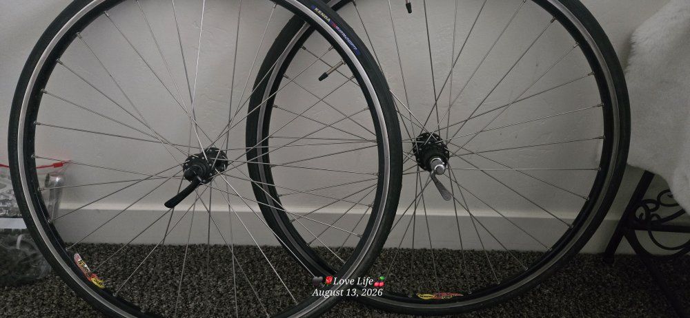 Mavic Open Pro 650B Wheelset with Shimano 105 Hubs and Kenda Tires