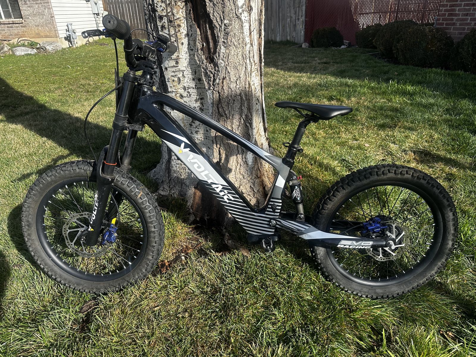 Voltaic 20in Electric Dirt Bike