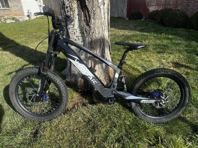 Voltaic 20in Electric Dirt Bike