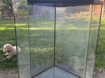Corner Glass Terrarium/Aquarium Tank - Used Condition