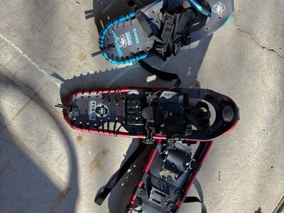 Snowshoes w/ Poles
