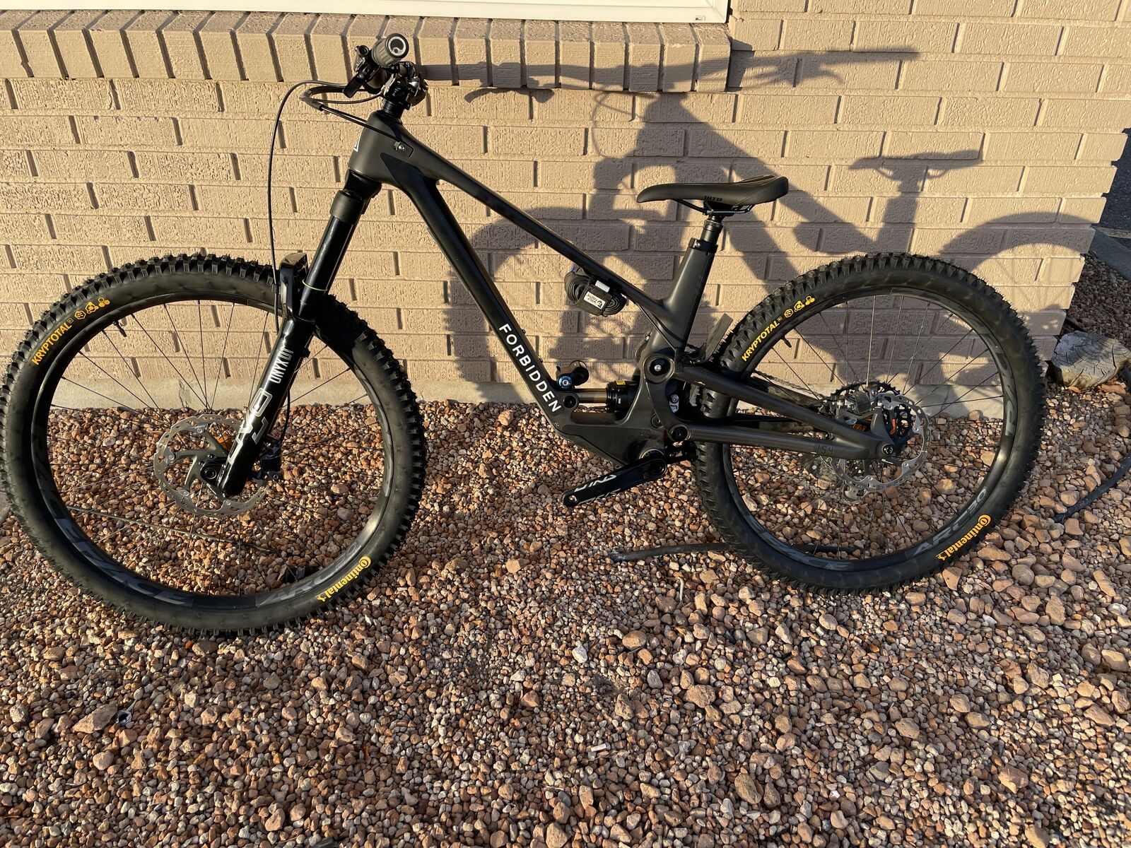 2023 Forbidden Dreadnaught Size Medium