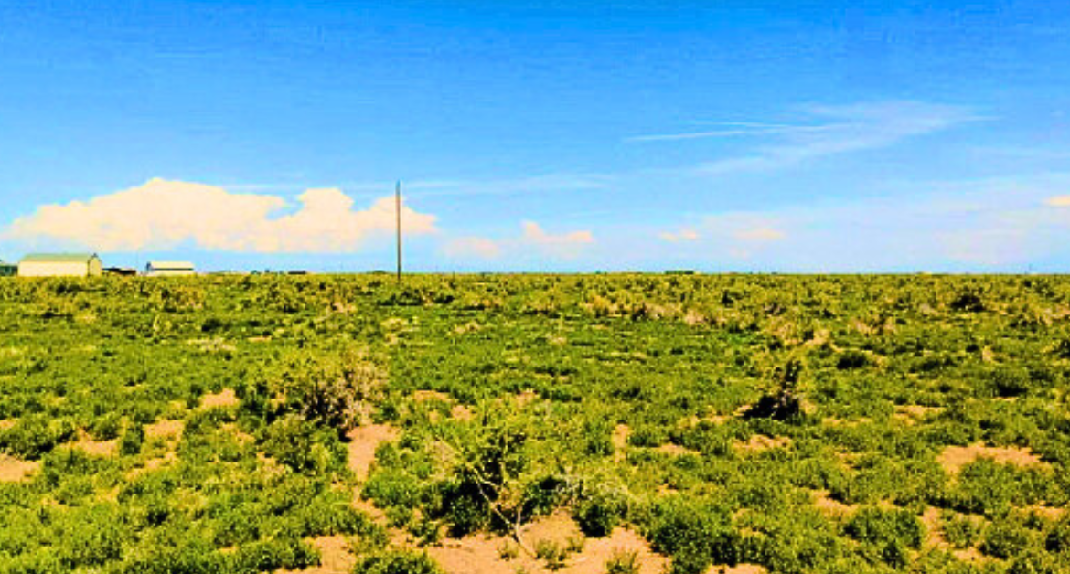 1.25 Acres Beautiful Land to Build with Mountain View