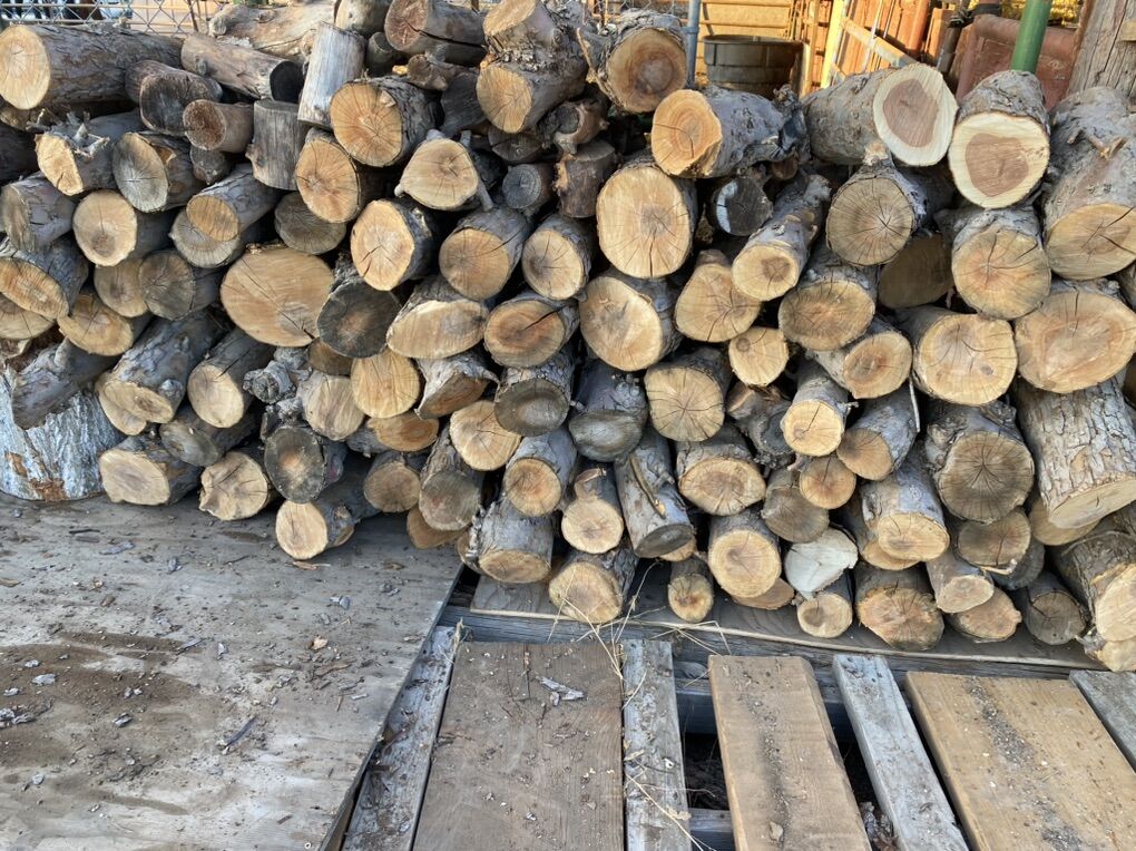 Firewood Burls Logs