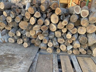 Firewood Burls Logs
