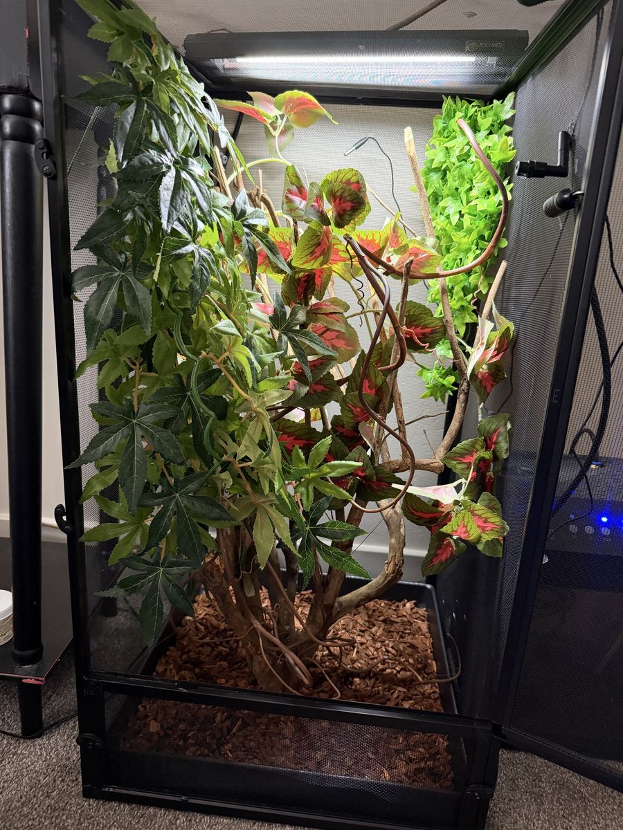 Main image 5