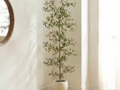 Faux T5472 6.5’ Black Olive Tree 1862073 #105416