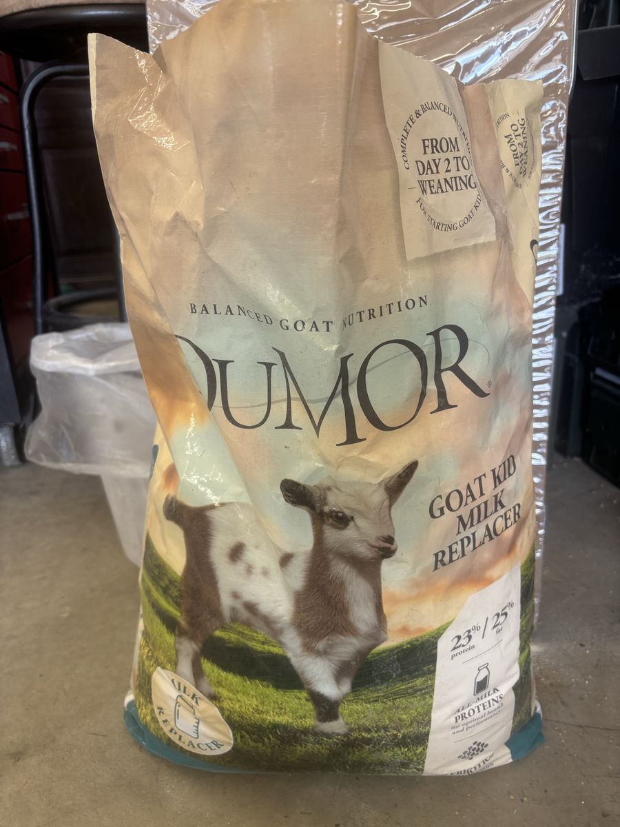 Goat kid milk replacer