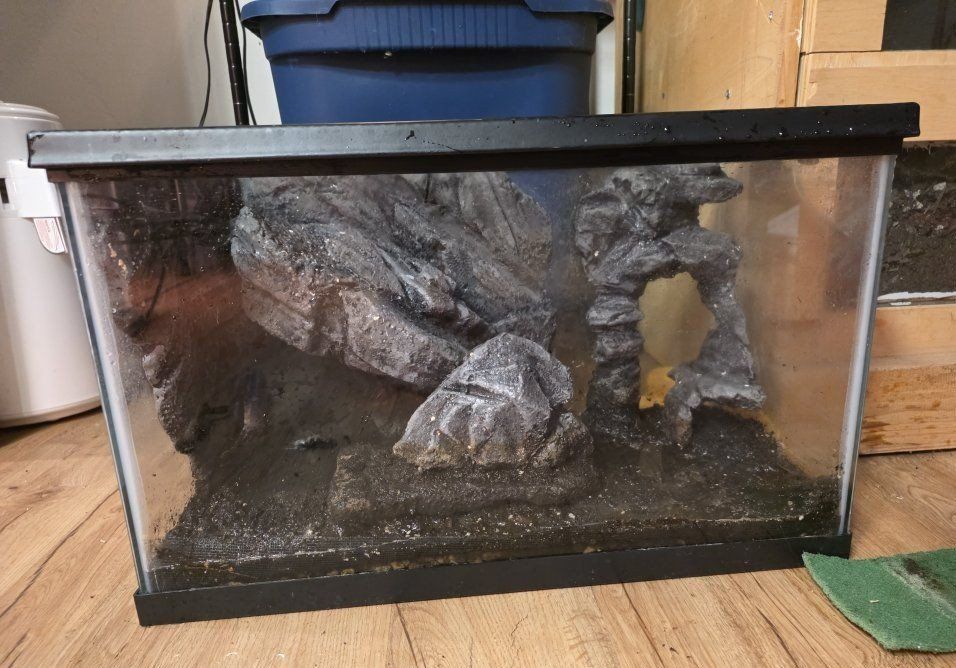 custom 10 gallon