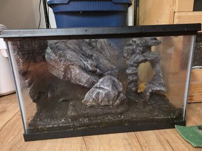 custom 10 gallon