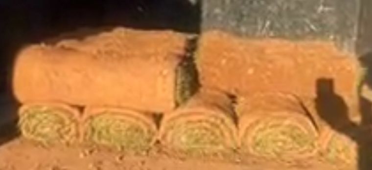 Brand new sod!