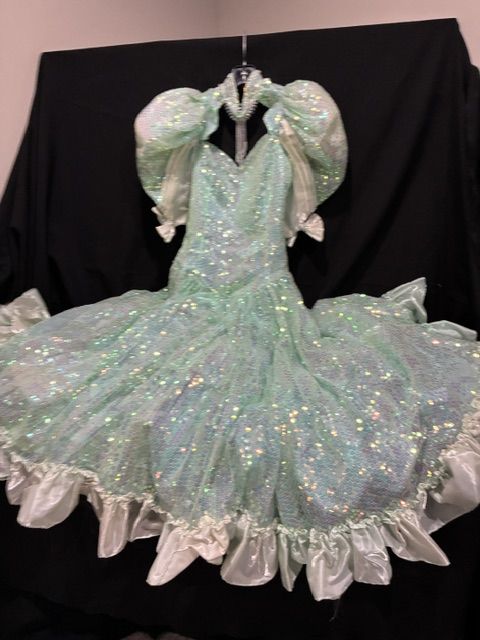 Sparkle and Shine SEQUIN Dress   Size Adult S/M   $50