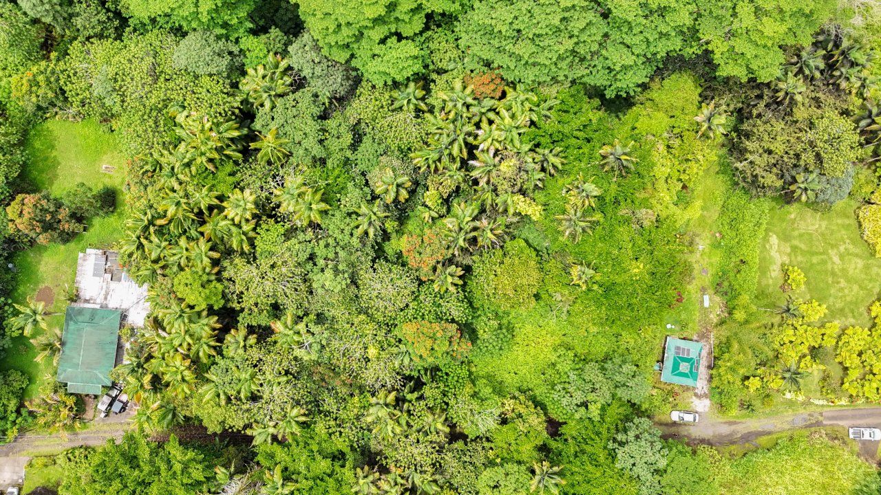 Lot for Sale – Pahoa – Only $5,000 Down!
