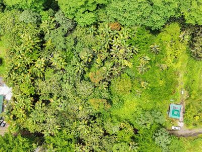Lot for Sale – Pahoa – Only $5,000 Down!