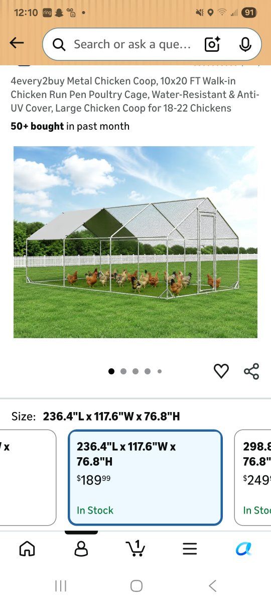 Chicken Run