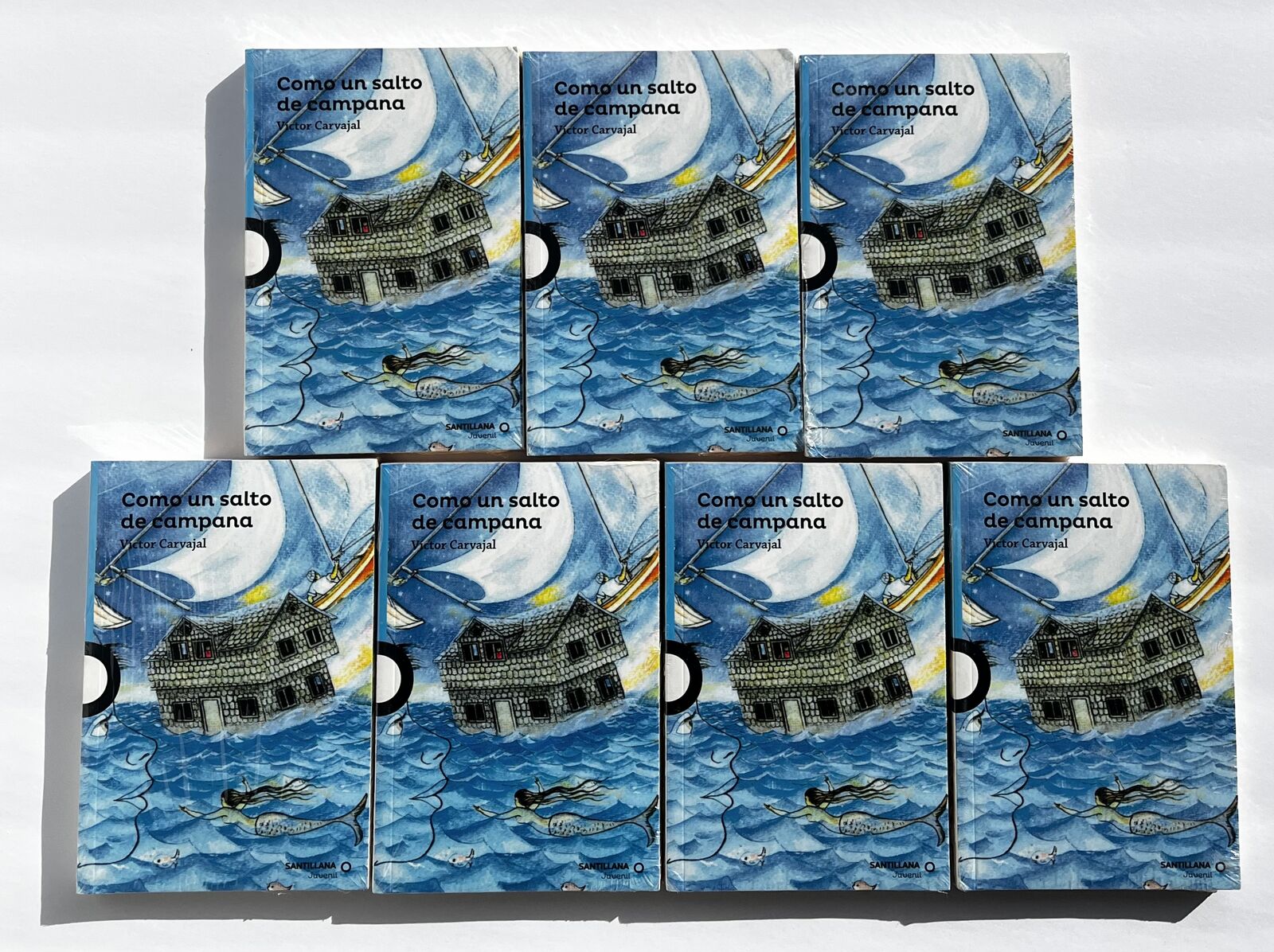 Class Set Of 7 Copies Of Como Un Salto De Como