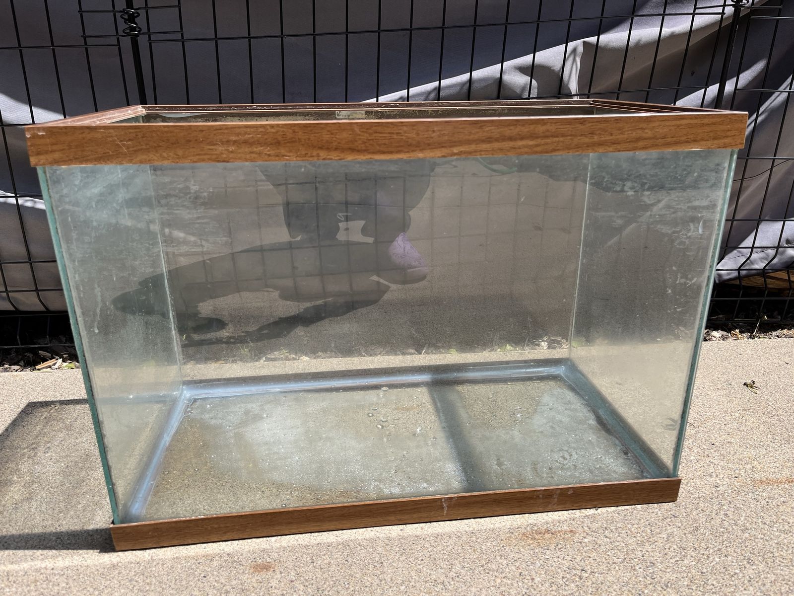 20 gallon high aquarium