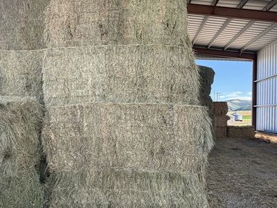 Quality Grass Hay Bales 3x3x8