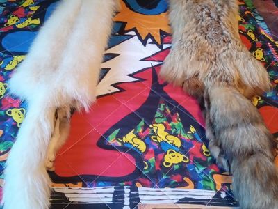 Genuine Fox Fur Pelt - Cream Arctic Fox & Red Fox Taxidermy Wall Hanging/Decor