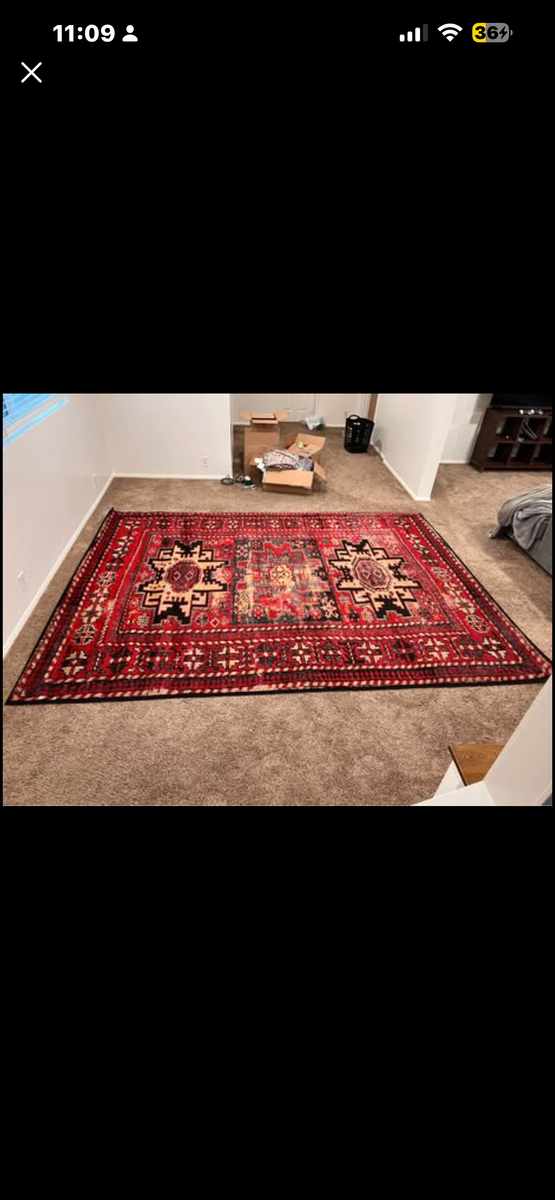 Large boho area rug (8’9” x 12’ 2”)