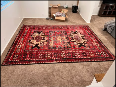 Large boho area rug (8’9” x 12’ 2”)