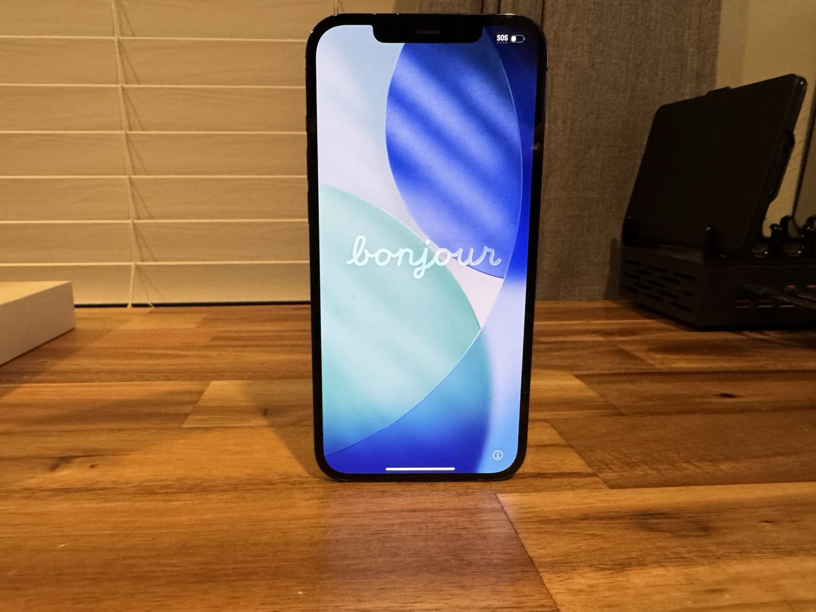 iPhone 12 Pro Max (512GB)