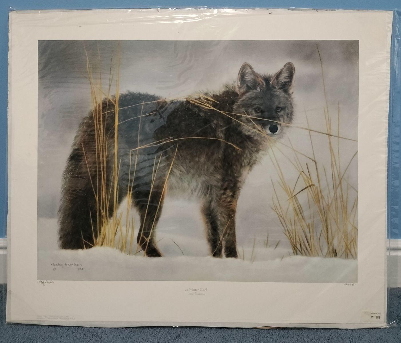 "In Winter Garb" by Lesley Harrison Limited Edition Nature Art Print 296/690