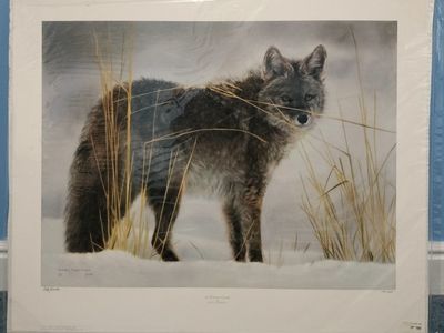 "In Winter Garb" by Lesley Harrison Limited Edition Nature Art Print 296/690