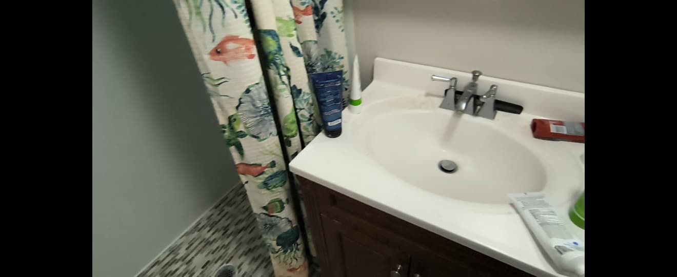 Main image 5