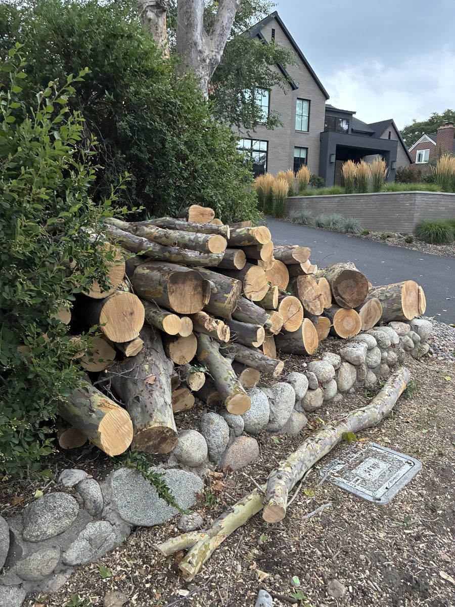 Free firewood
