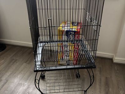 Bird cage