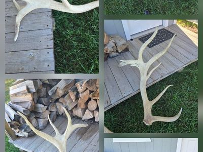 Antlers