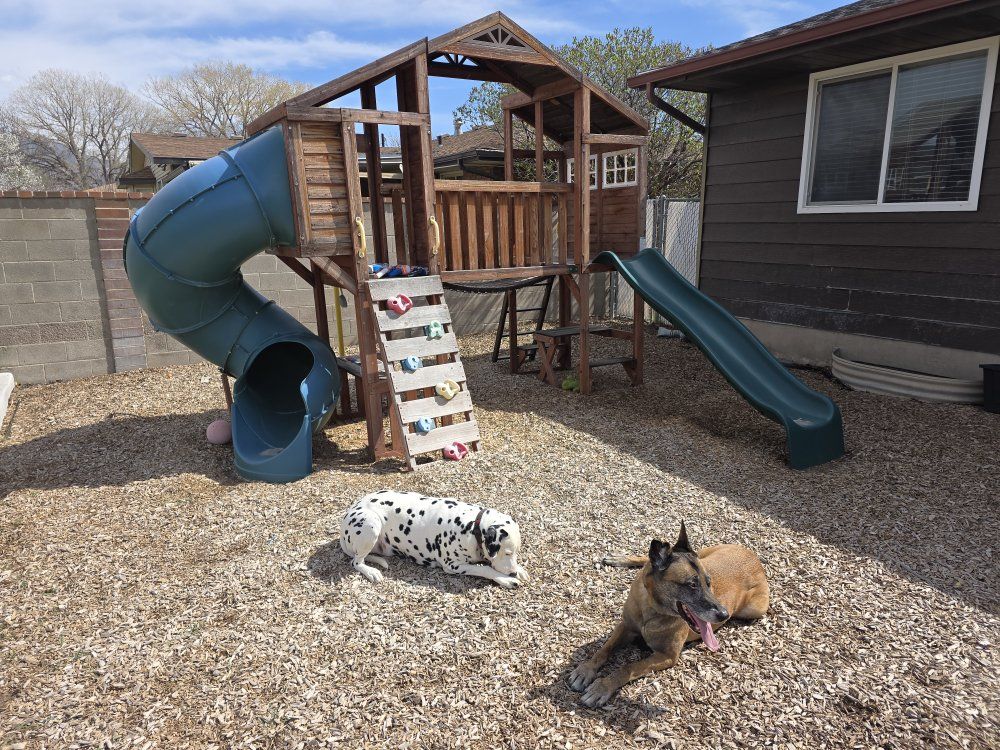 COSTCO PLAYGROUND W/ SWINGSET