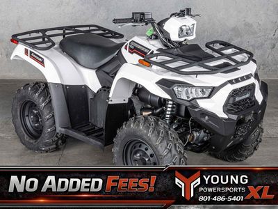 2025 Kawasaki Brute Force® 450 4x4