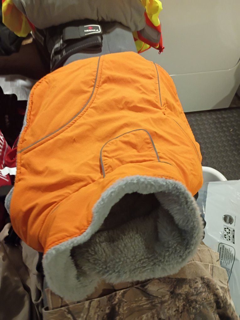 dog vest