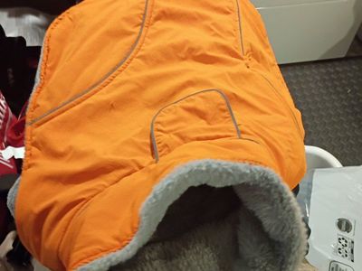 dog vest