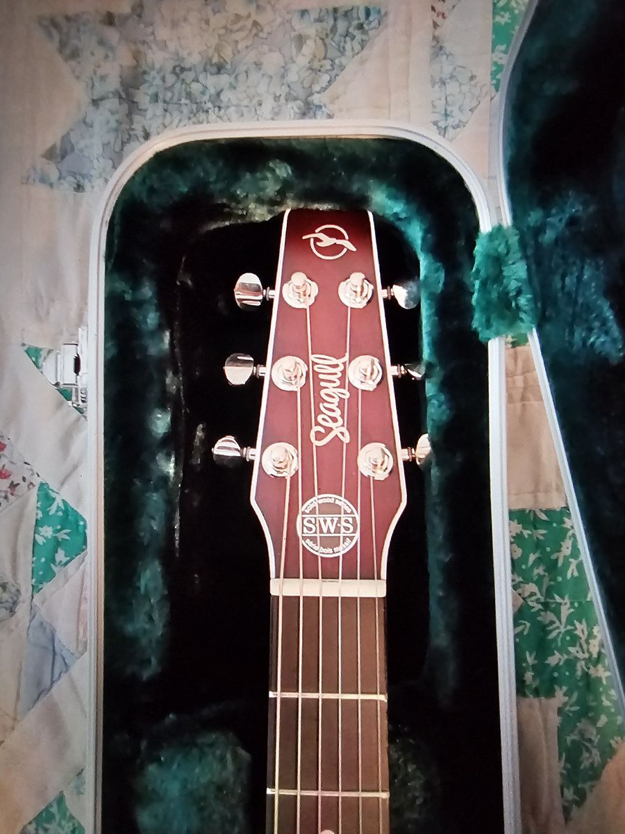 Seagull acoustic electric guitar
