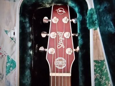 Seagull acoustic electric guitar