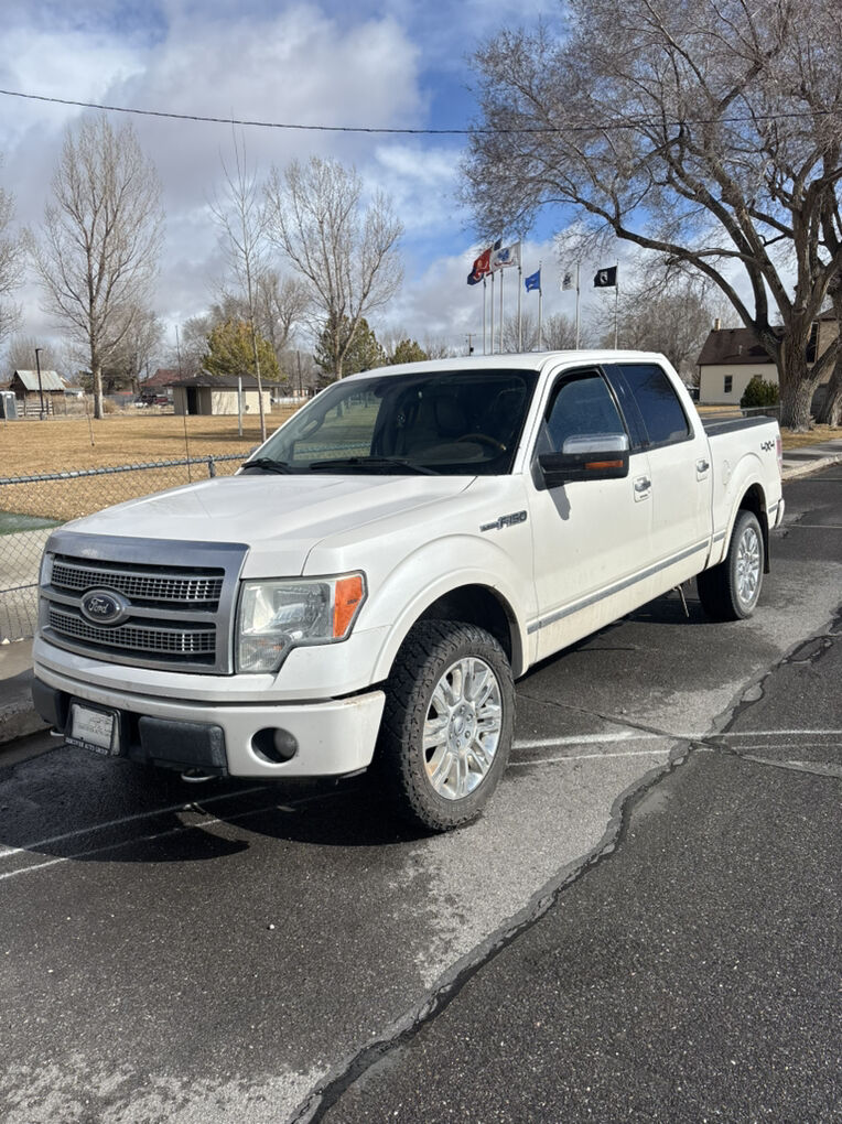 2010 FORD F150 Platinum