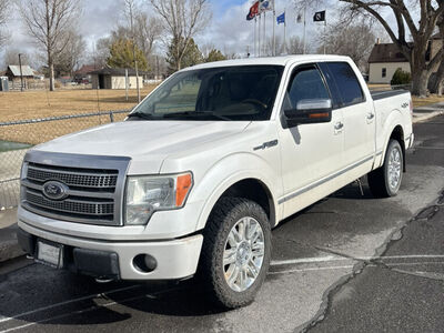 2010 FORD F150 Platinum