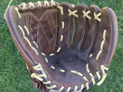 Wilson 12.5 in. Baseball/Softball Glove