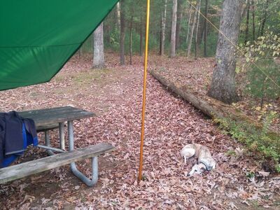 Equinox Egret Tarp 8x10