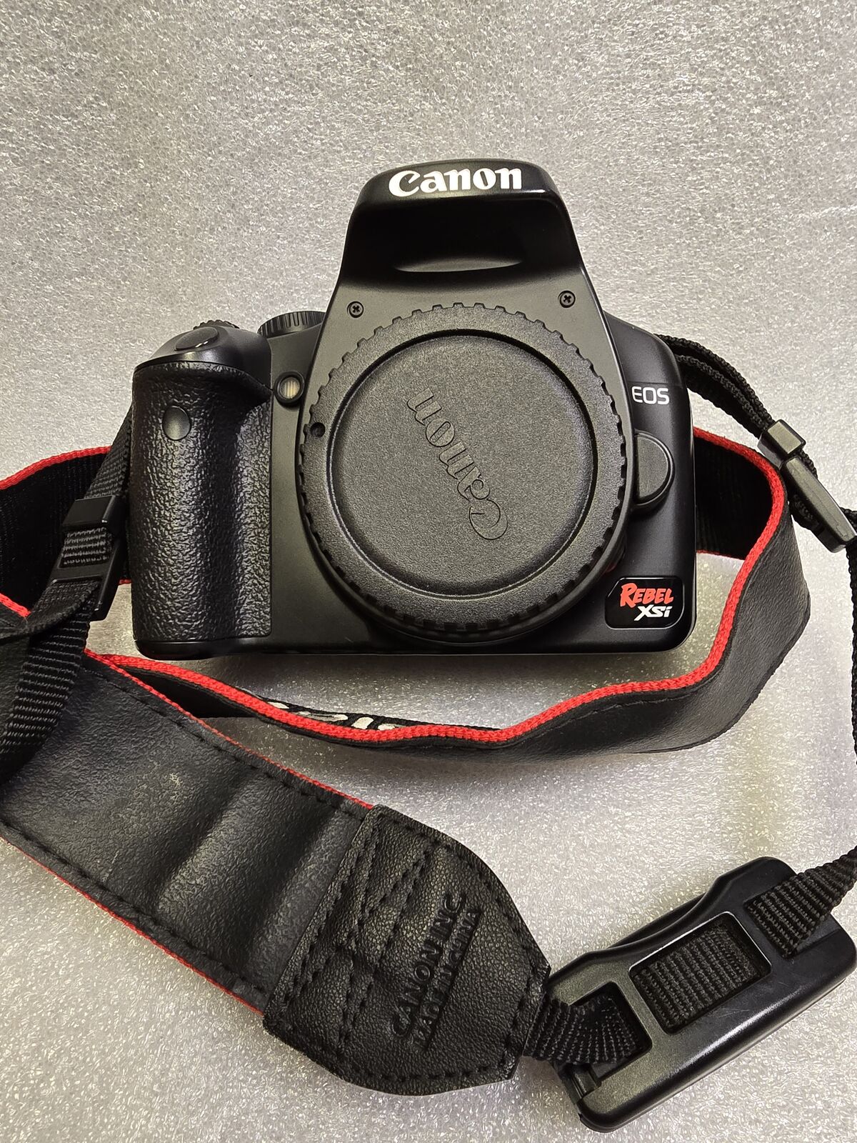 Canon 450D using Rebel with Tamron lens