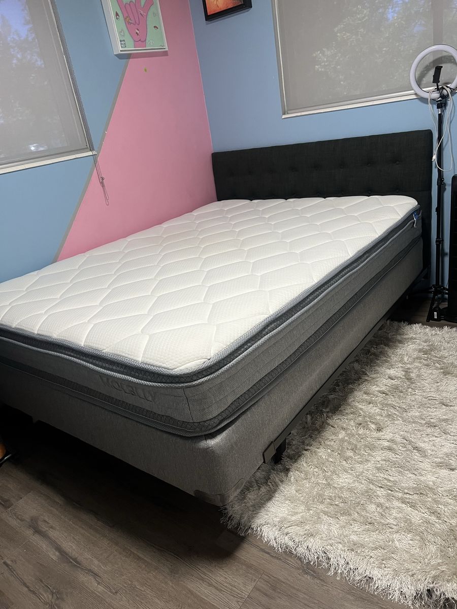Bed Frame with Headboard, Queen Size (Mattress practically new) and Box Spring