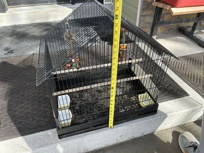 Bird Cage