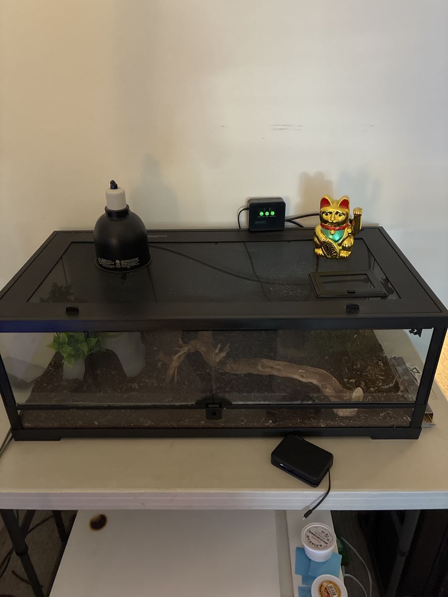 Reptile set up cage enclosure