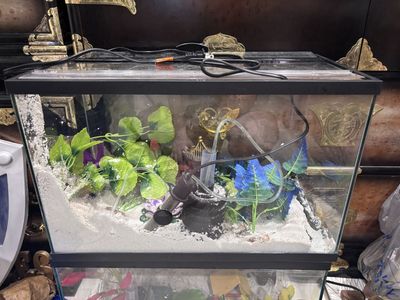 10 gal tanks
