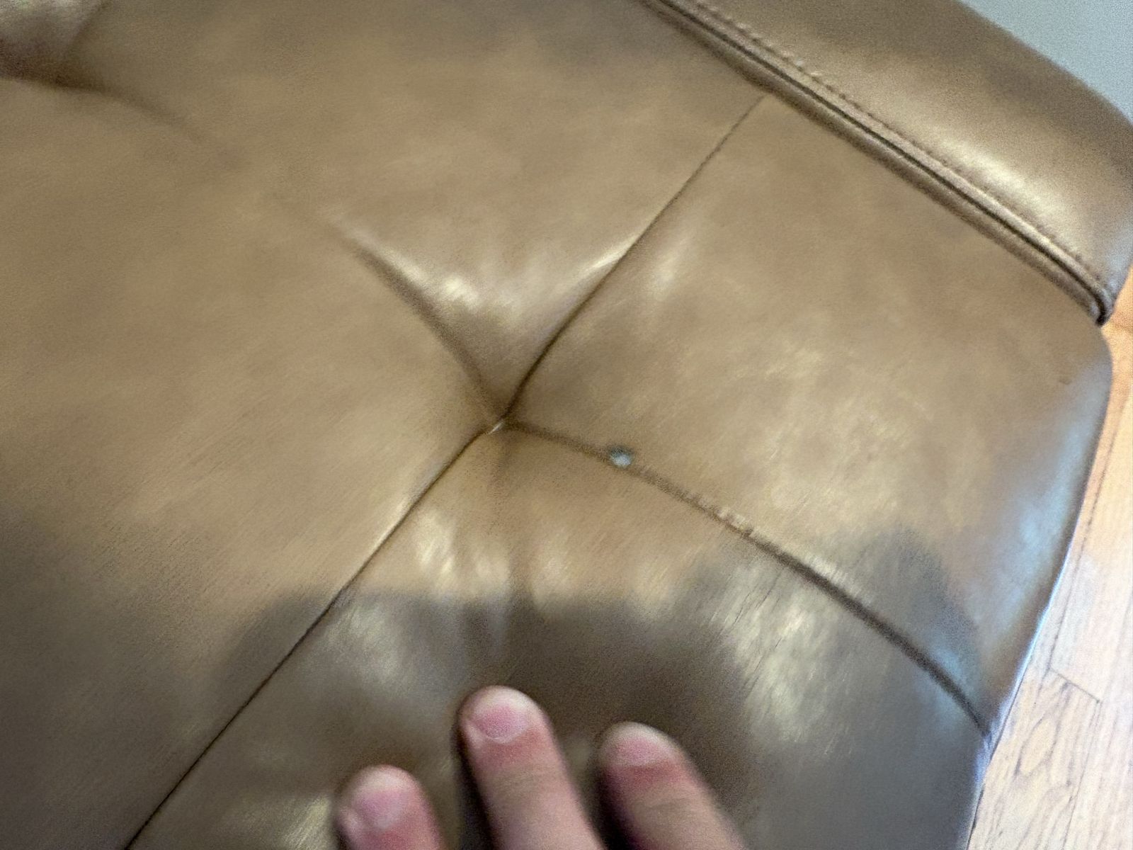 Main image 4